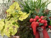 Beet & Balkon